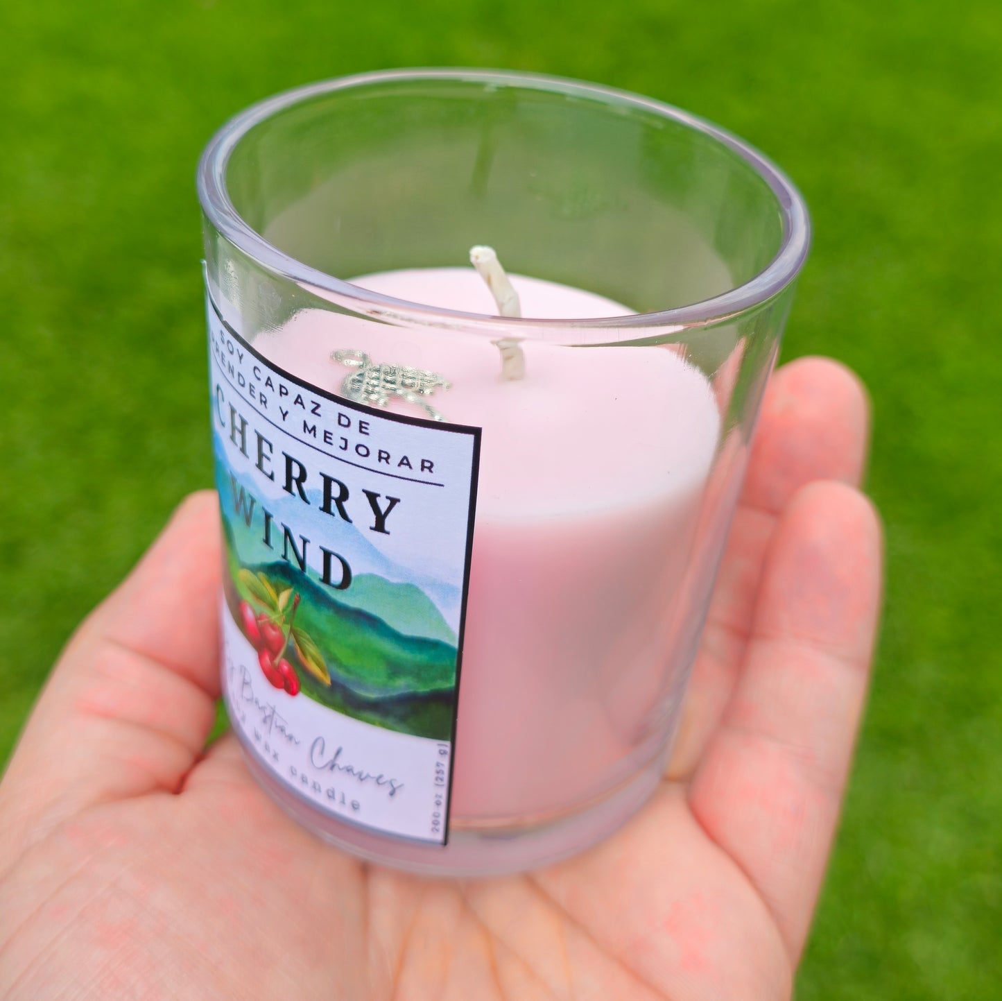 CHERRY WIND - Vela Aromatica De Soya esencia de cereza estilo Minimalista